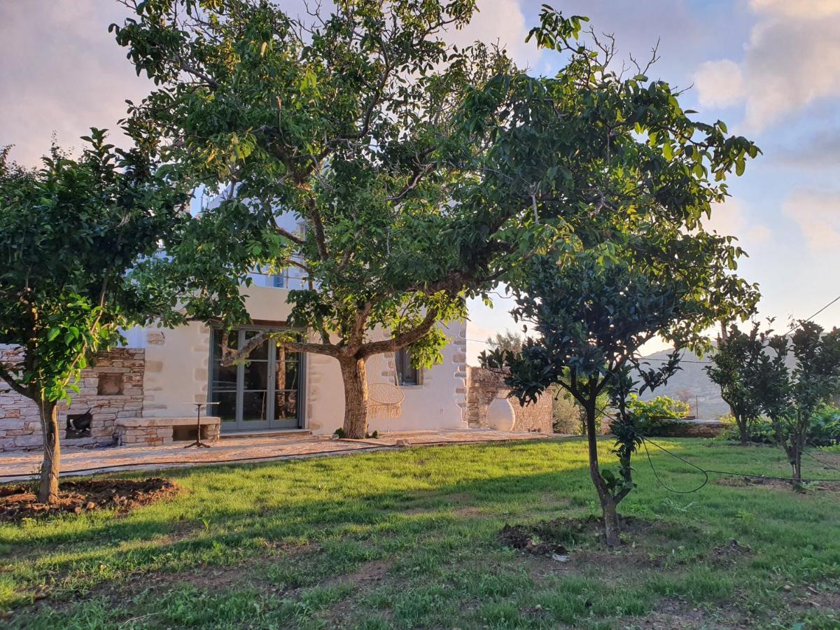 Pyrgos - Traditional House At Kaloxilos, Naxos Khalkíon Εξωτερικό φωτογραφία